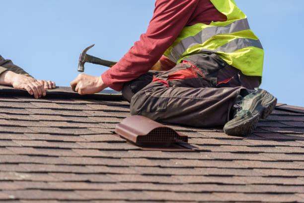 Best Roof Leak Repair  in Ely, MN